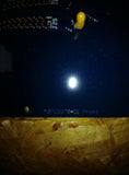 NiB Micrstar Laboratories DAP 820 102
